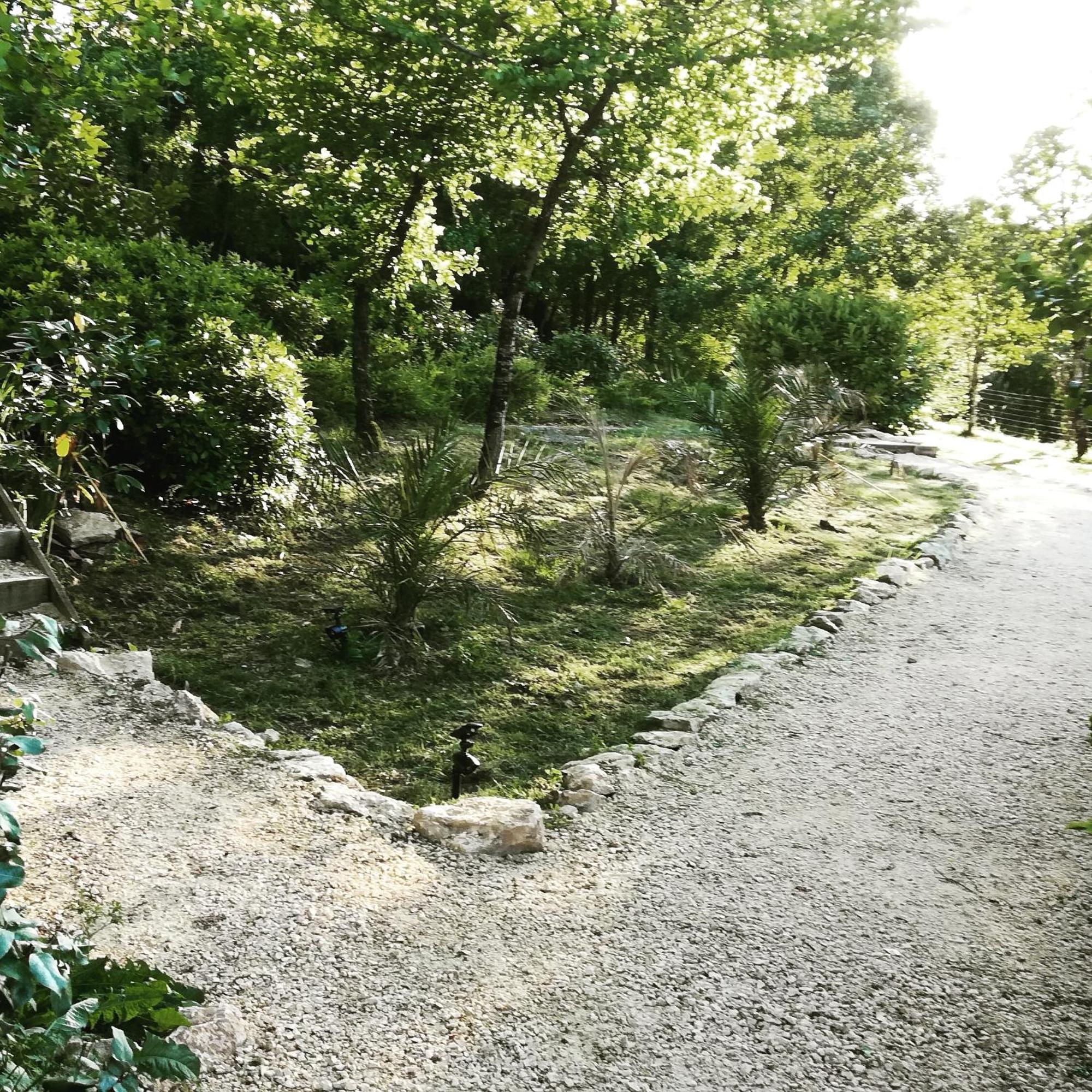 La Source Bed and Breakfast Saint-Cybranet Eksteriør billede